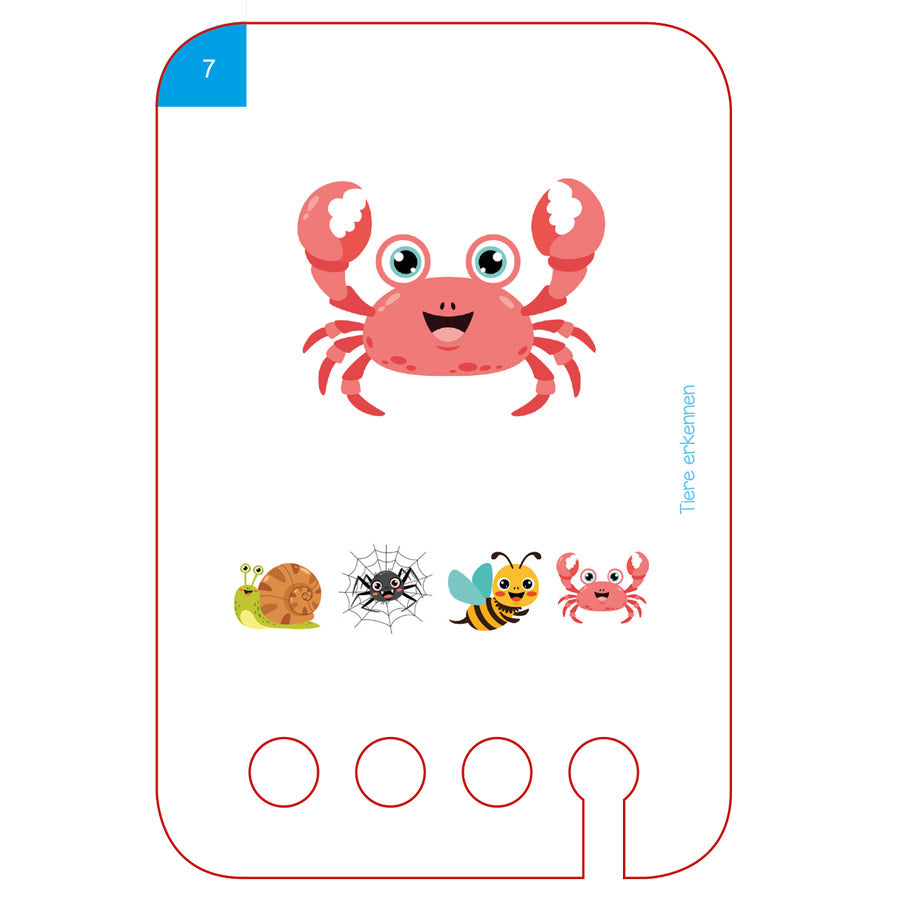 Lochkarte mit Krebs, Schnecke, Biene und Spinne