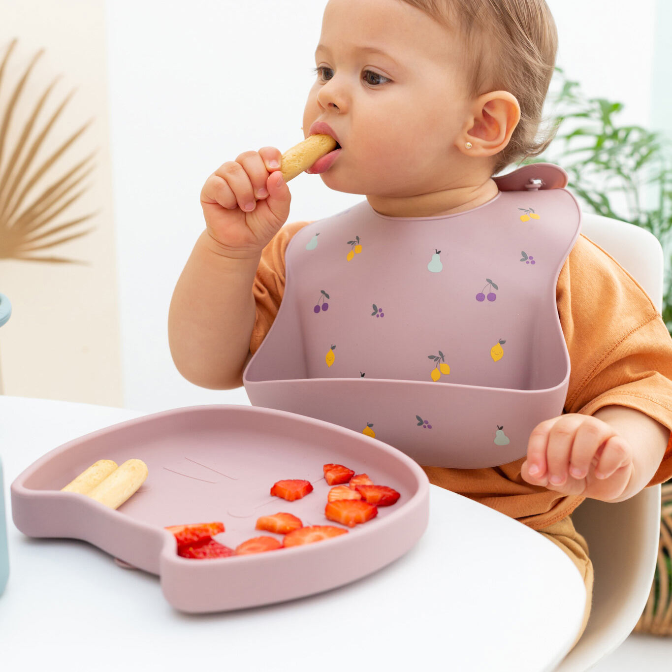 Fütterung Kinderteller