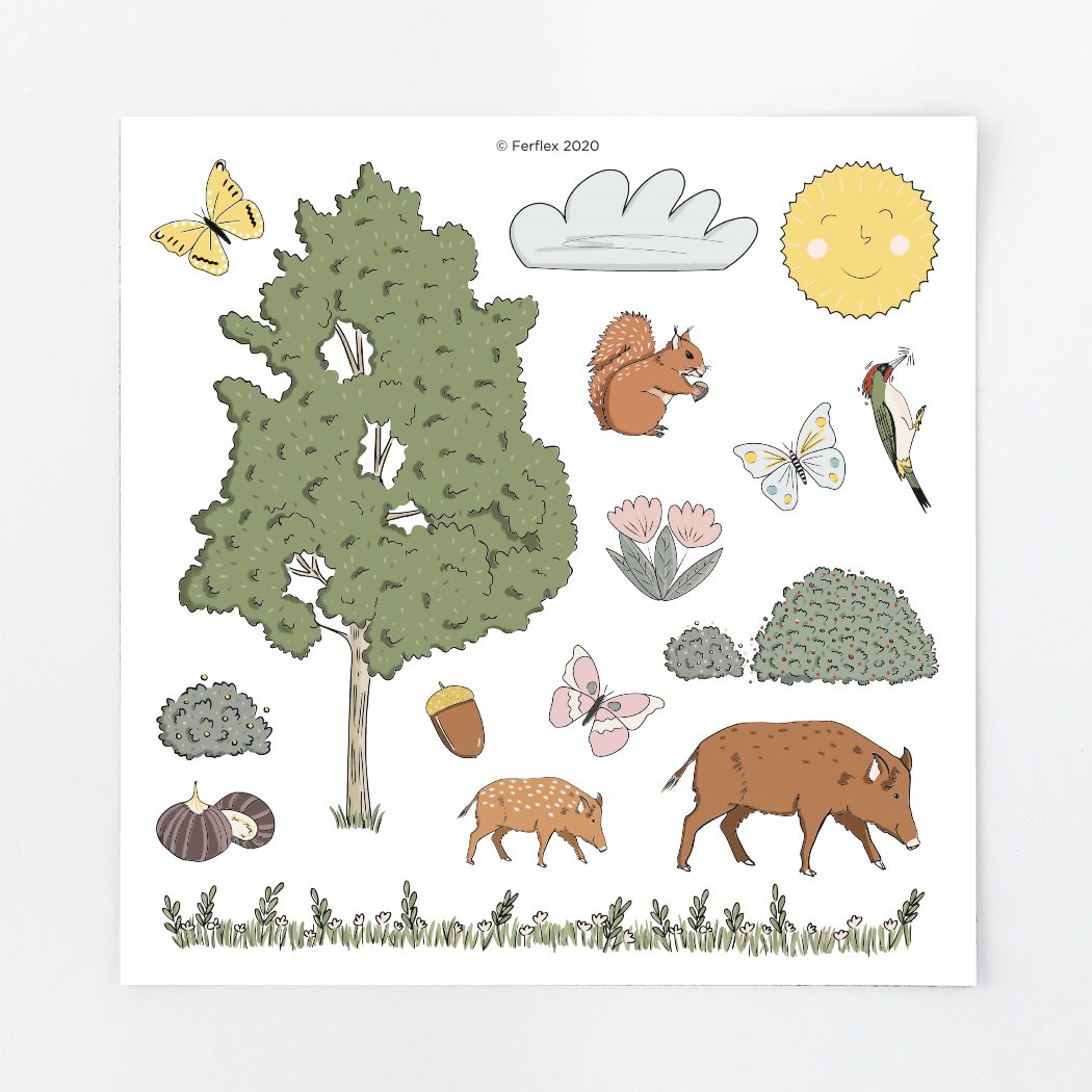 Wald Ferflex Magnete mit Motiven wie Wildschein und Eichhörnchen