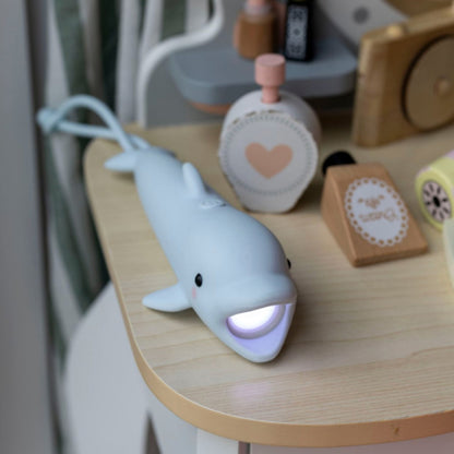 Taschenlampe für Kinder - LED und Akku