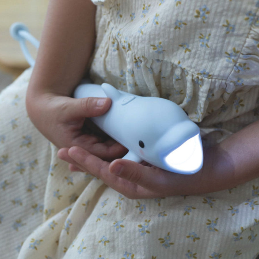 Taschenlampe für Kinder - LED und Akku