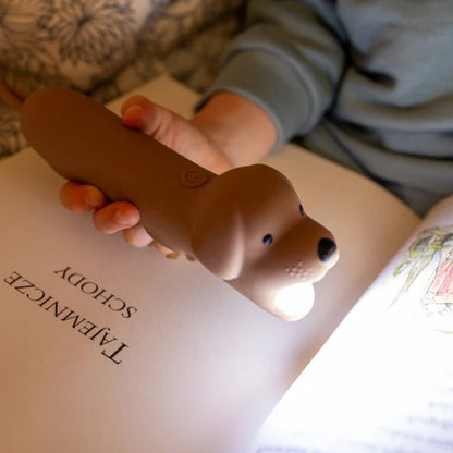 Taschenlampe für Kinder - LED und Akku